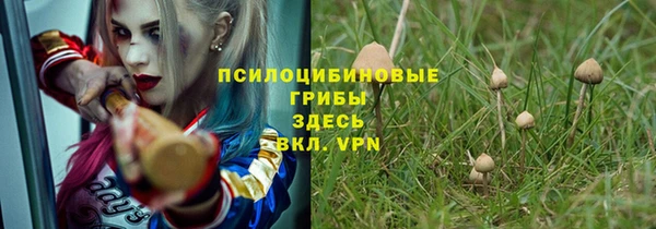 твердый Приозерск