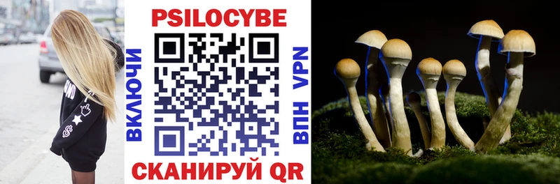 Псилоцибиновые грибы MAGIC MUSHROOMS omg маркетплейс Алатырь