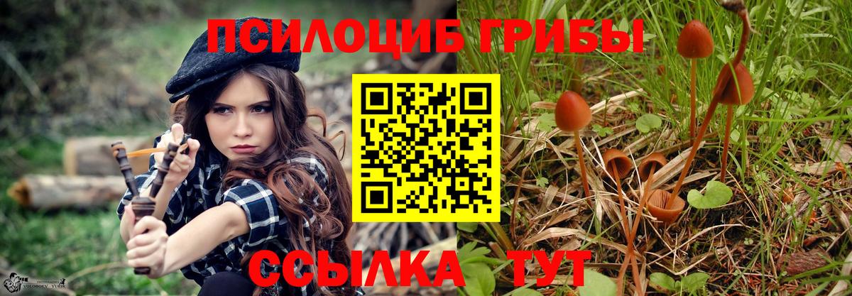 Галлюциногенные грибы Magic Shrooms  Галлюциногенные грибы Magic Shrooms  Вход с VPN  Алатырь 
