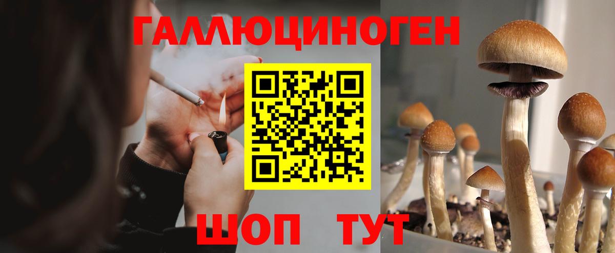ГАШИШ Алатырь